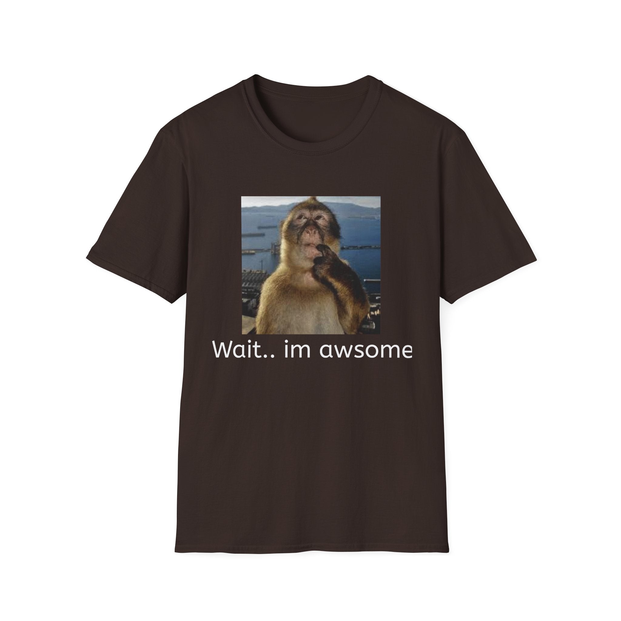 Monkey Meme T-Shirt — "Wait... im awsome" Funny Graphic Tee